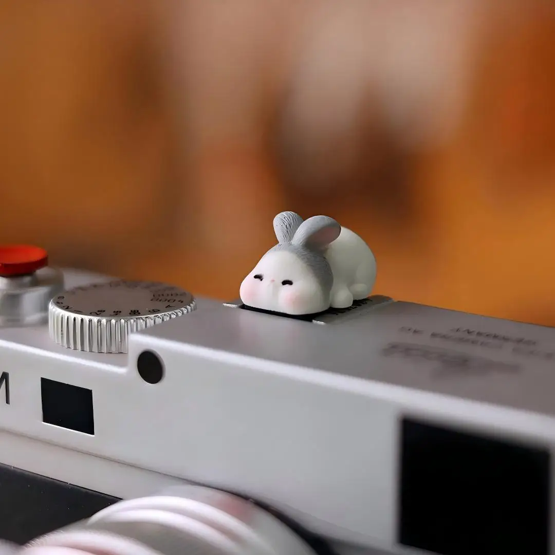 Funny Hot Shoe Cover Universal - Sony Camera Zv-E10 recension och pris